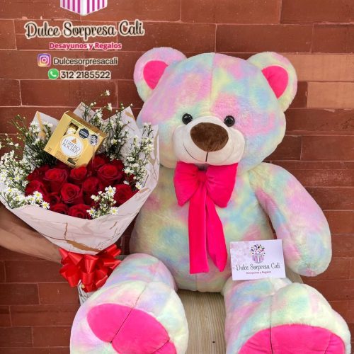 Oso de colores
